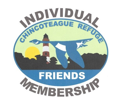 Membership Individual $15